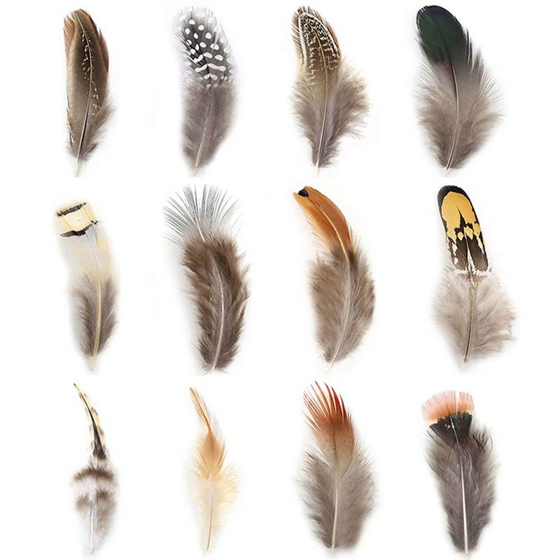 Ballinger 360pcs 12 Styled Natural Feathers Assorted Mixed Feathers for Jewelry and Dream Catcher Crafts - Image 1